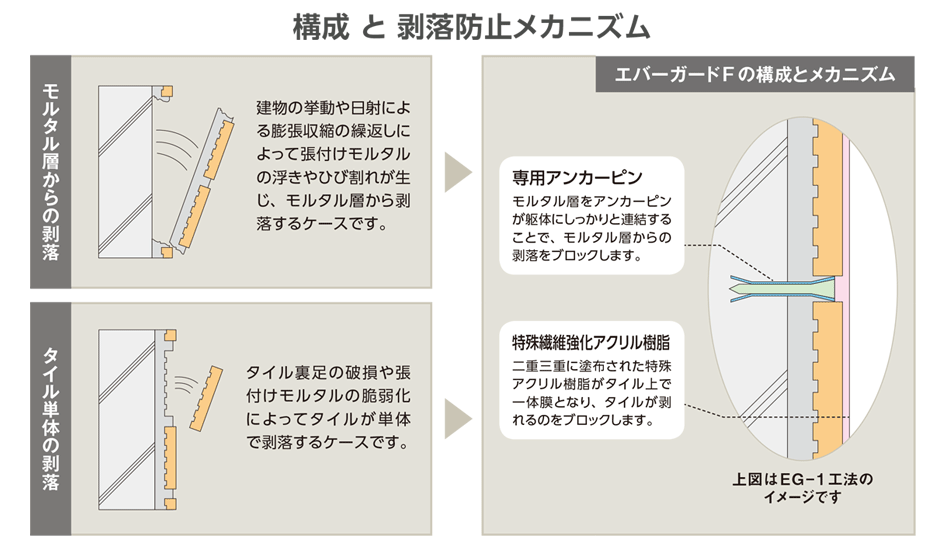 構成と剥落防止のメカニズム